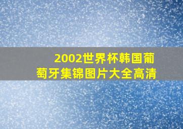 2002世界杯韩国葡萄牙集锦图片大全高清