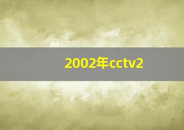 2002年cctv2