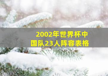 2002年世界杯中国队23人阵容表格