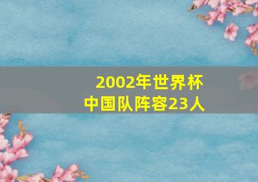 2002年世界杯中国队阵容23人