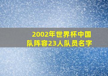 2002年世界杯中国队阵容23人队员名字