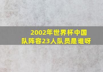 2002年世界杯中国队阵容23人队员是谁呀