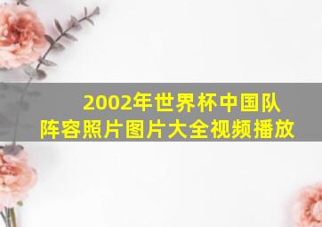 2002年世界杯中国队阵容照片图片大全视频播放