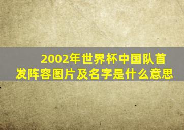 2002年世界杯中国队首发阵容图片及名字是什么意思