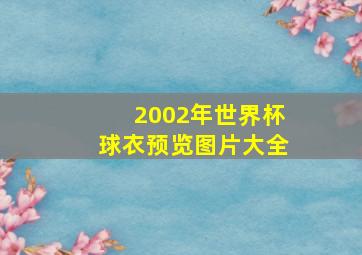 2002年世界杯球衣预览图片大全