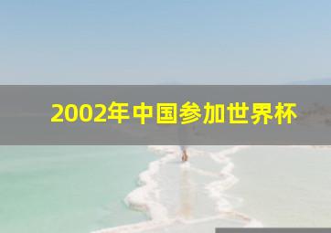 2002年中国参加世界杯