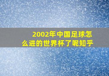 2002年中国足球怎么进的世界杯了呢知乎