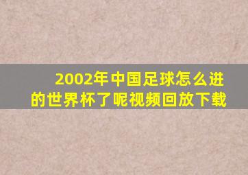 2002年中国足球怎么进的世界杯了呢视频回放下载