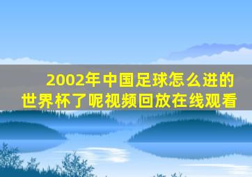 2002年中国足球怎么进的世界杯了呢视频回放在线观看