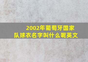 2002年葡萄牙国家队球衣名字叫什么呢英文