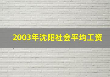 2003年沈阳社会平均工资