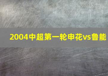 2004中超第一轮申花vs鲁能