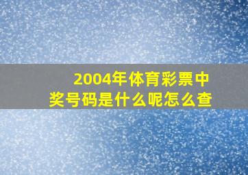 2004年体育彩票中奖号码是什么呢怎么查