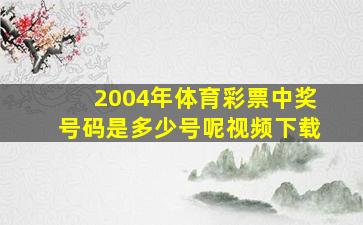 2004年体育彩票中奖号码是多少号呢视频下载