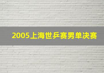 2005上海世乒赛男单决赛