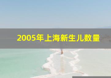 2005年上海新生儿数量