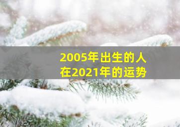 2005年出生的人在2021年的运势