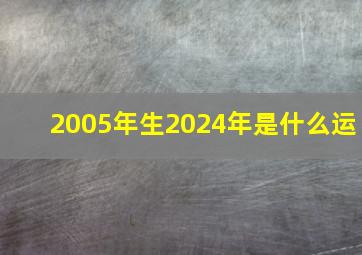 2005年生2024年是什么运