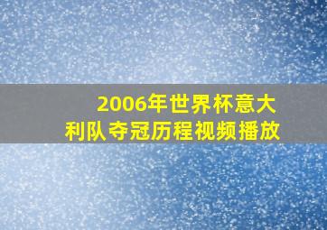 2006年世界杯意大利队夺冠历程视频播放