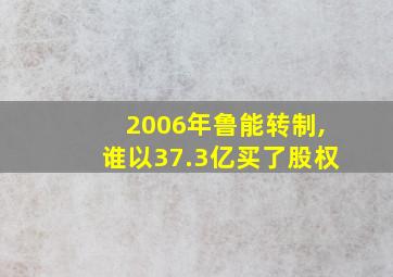 2006年鲁能转制,谁以37.3亿买了股权