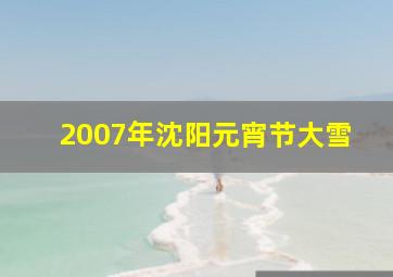 2007年沈阳元宵节大雪