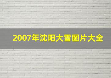 2007年沈阳大雪图片大全