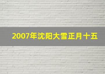 2007年沈阳大雪正月十五