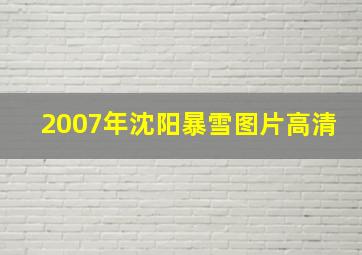 2007年沈阳暴雪图片高清