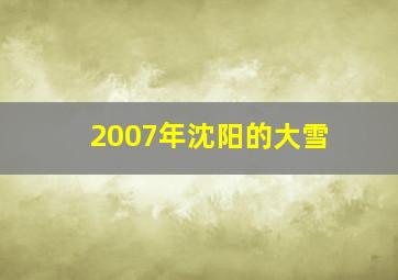 2007年沈阳的大雪