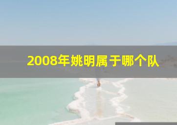 2008年姚明属于哪个队