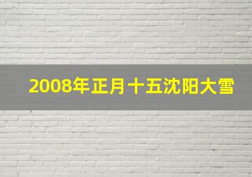 2008年正月十五沈阳大雪