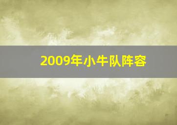 2009年小牛队阵容