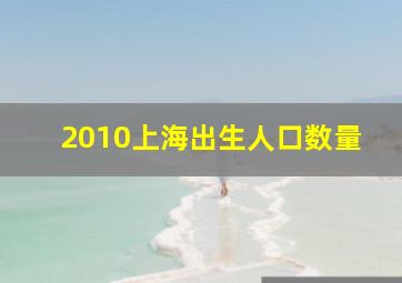 2010上海出生人口数量