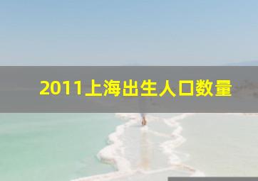 2011上海出生人口数量