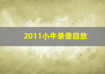 2011小牛录像回放