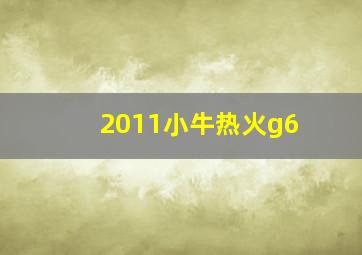 2011小牛热火g6