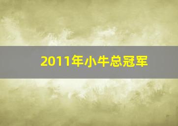 2011年小牛总冠军