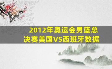 2012年奥运会男篮总决赛美国VS西班牙数据