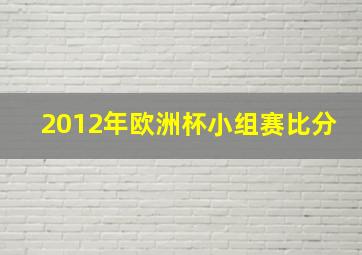 2012年欧洲杯小组赛比分