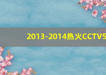 2013-2014热火CCTV5