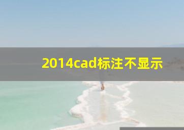 2014cad标注不显示