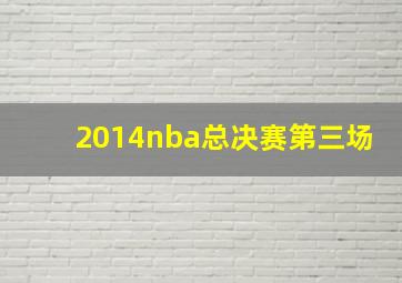 2014nba总决赛第三场