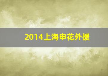 2014上海申花外援