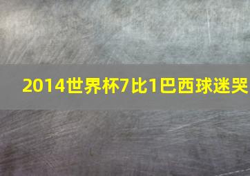 2014世界杯7比1巴西球迷哭