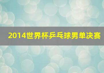 2014世界杯乒乓球男单决赛