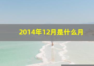 2014年12月是什么月