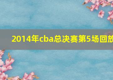 2014年cba总决赛第5场回放