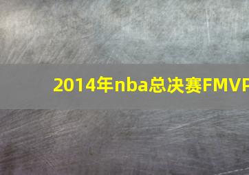 2014年nba总决赛FMVP