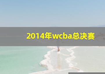 2014年wcba总决赛