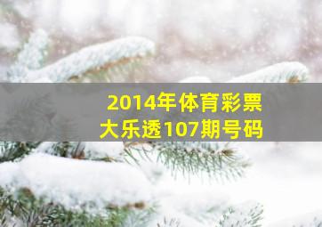 2014年体育彩票大乐透107期号码